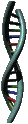 ADN